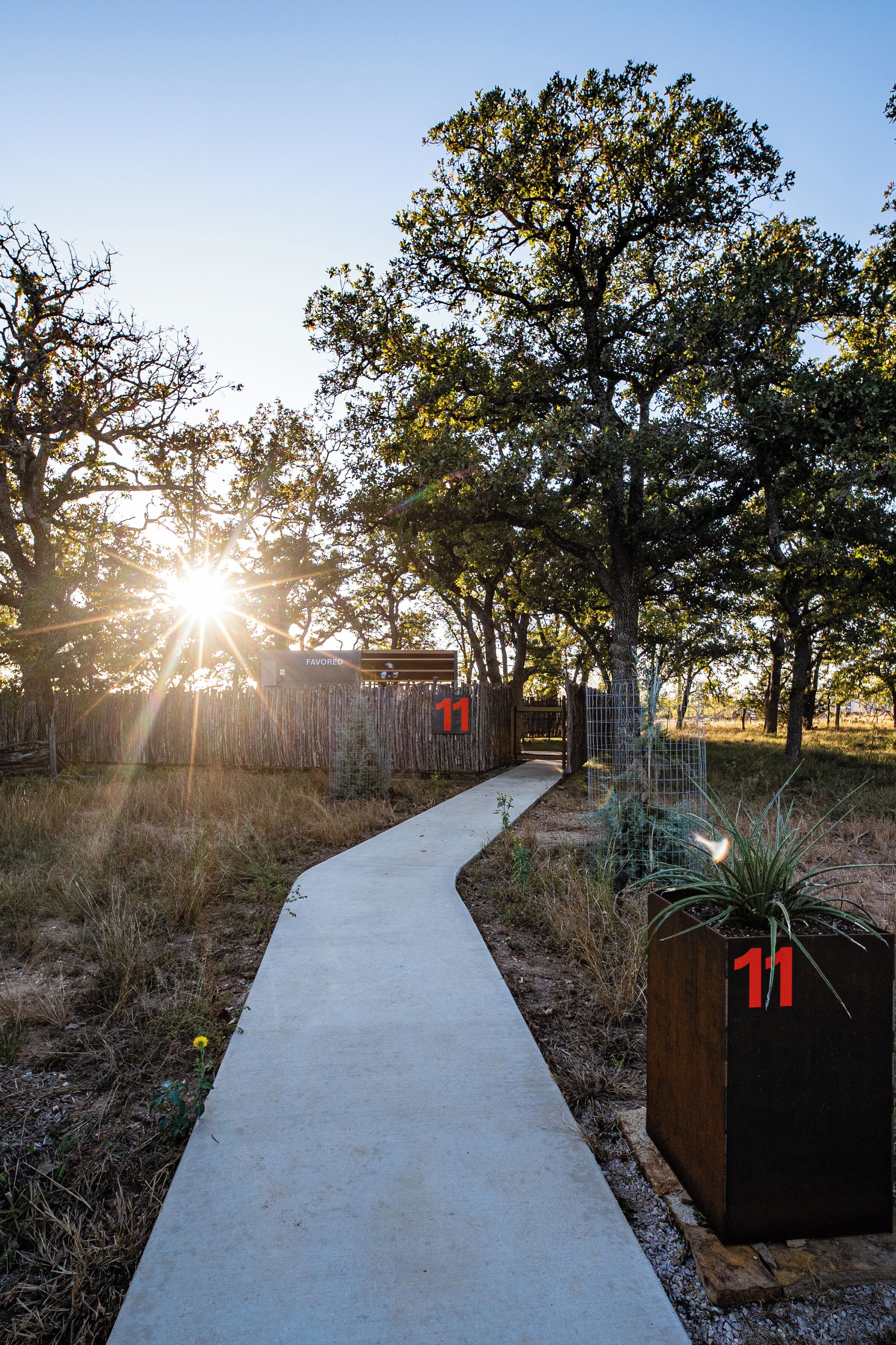 A concrete pathway in a park-like setting with trees and a fence.