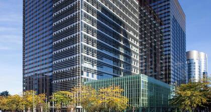 The Standard Brussels