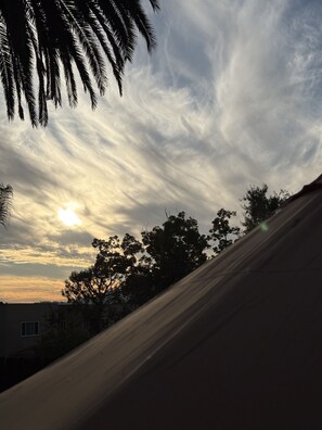 Property grounds - Sober Living on the Pink Cloud in fabulous Pasadena with WiFi (Pasadena)