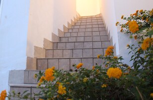 Studio, Partial Sea View | Terrace/patio