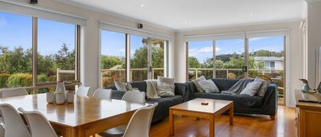 Smart TV, DVD player