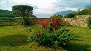 Un jardin clos par un mur de pierres, avec un arbre et des plantes à fleurs.