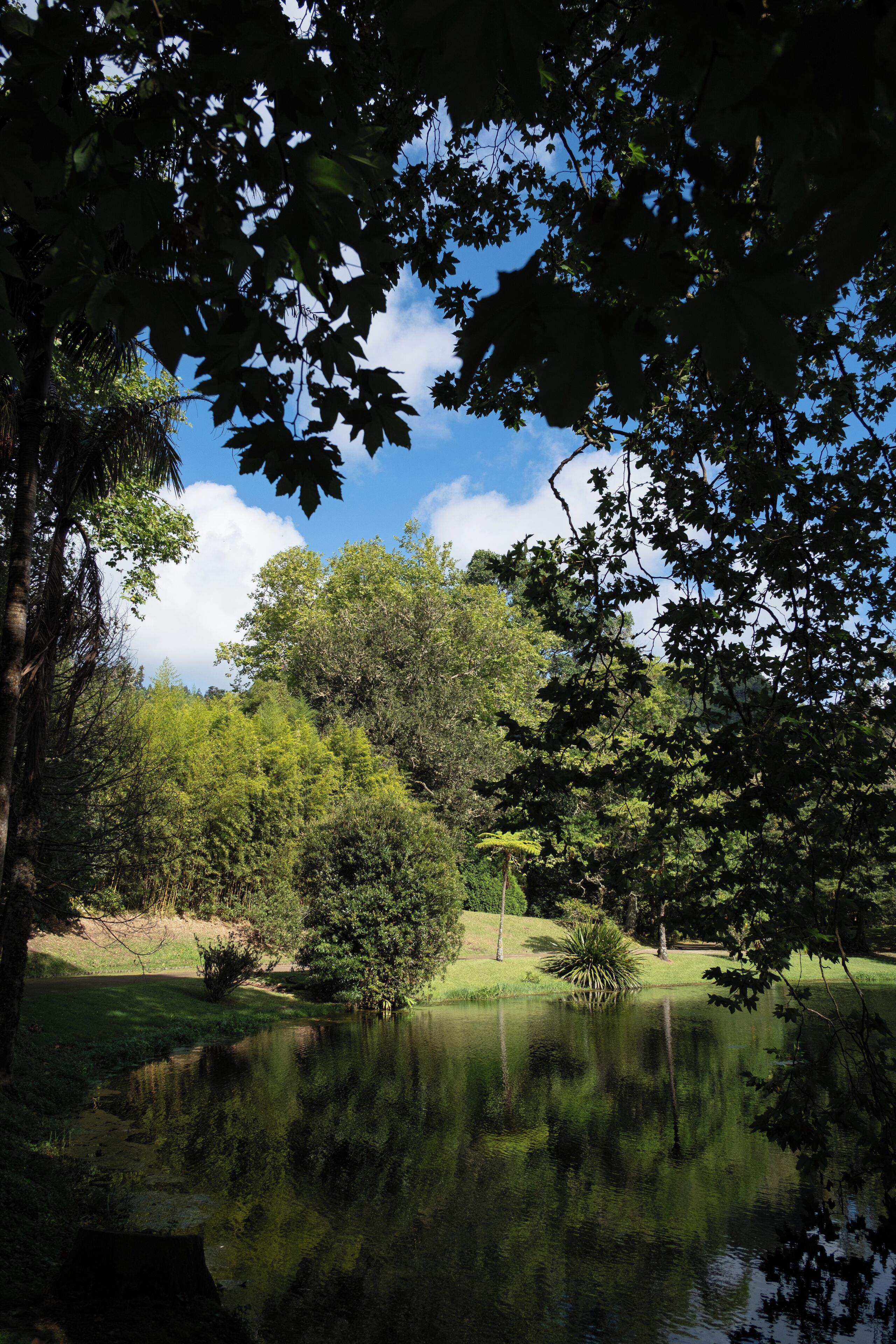 A serene park with a pond, trees, and a clear sky.