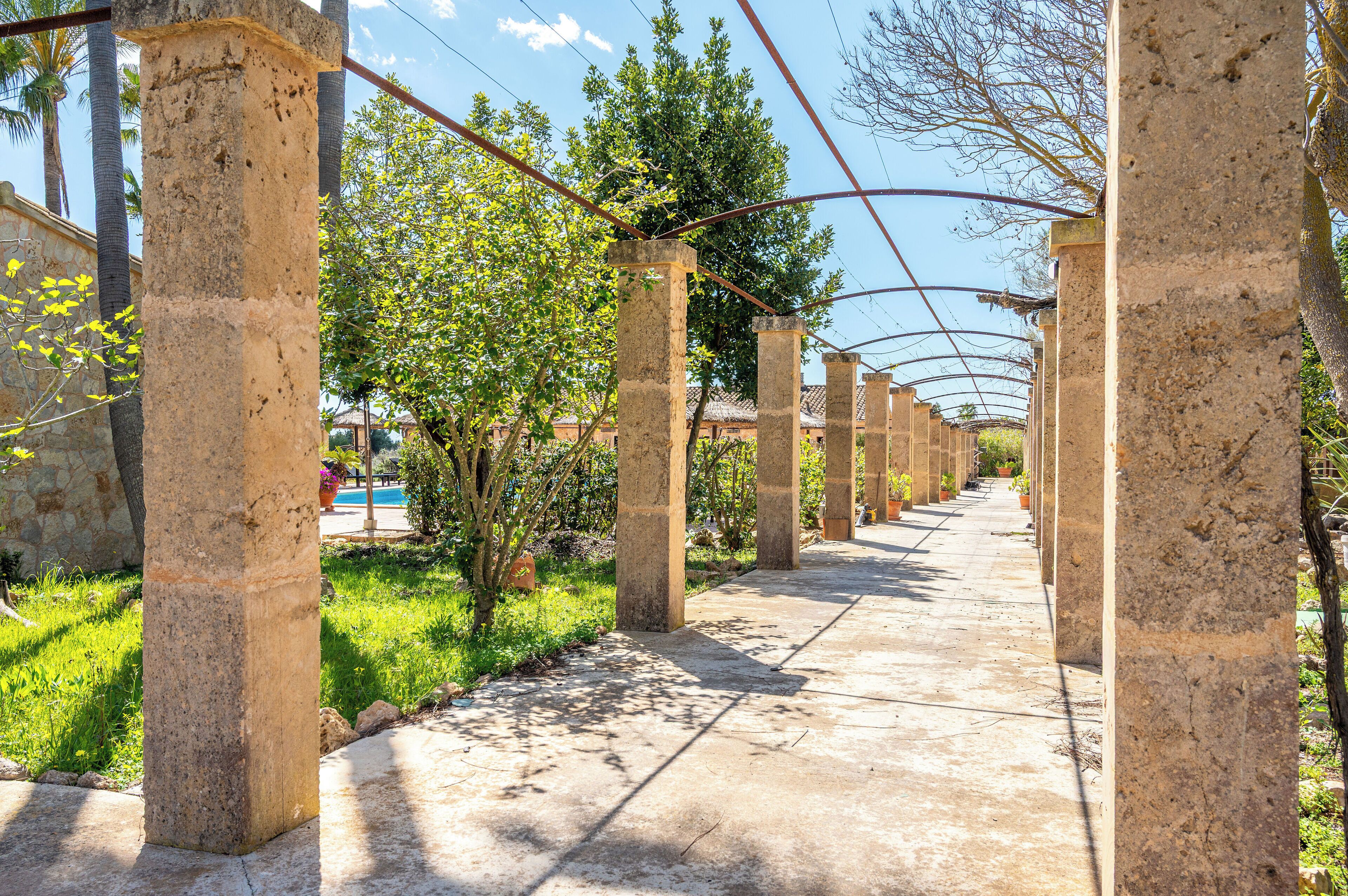 Photo - Finca Sol y Vida - Agroturismo Son Sampoli