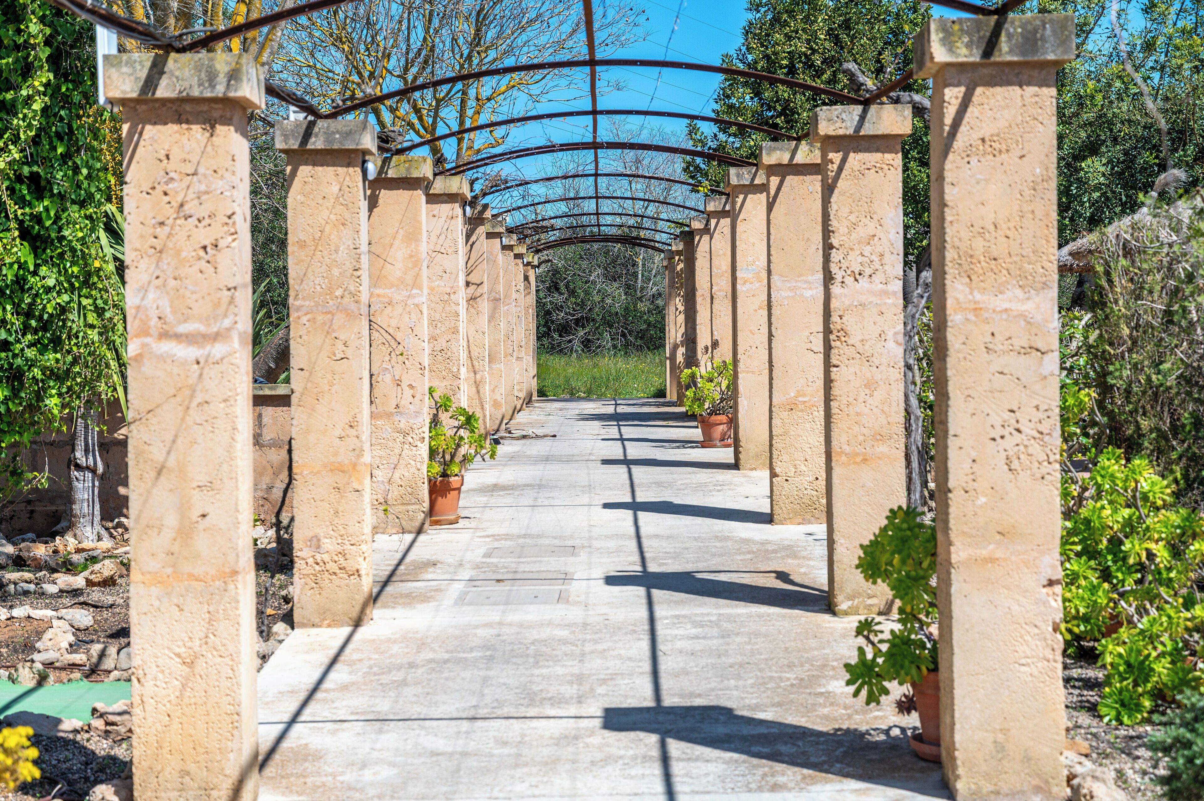 Photo - Finca Sol y Vida - Agroturismo Son Sampoli