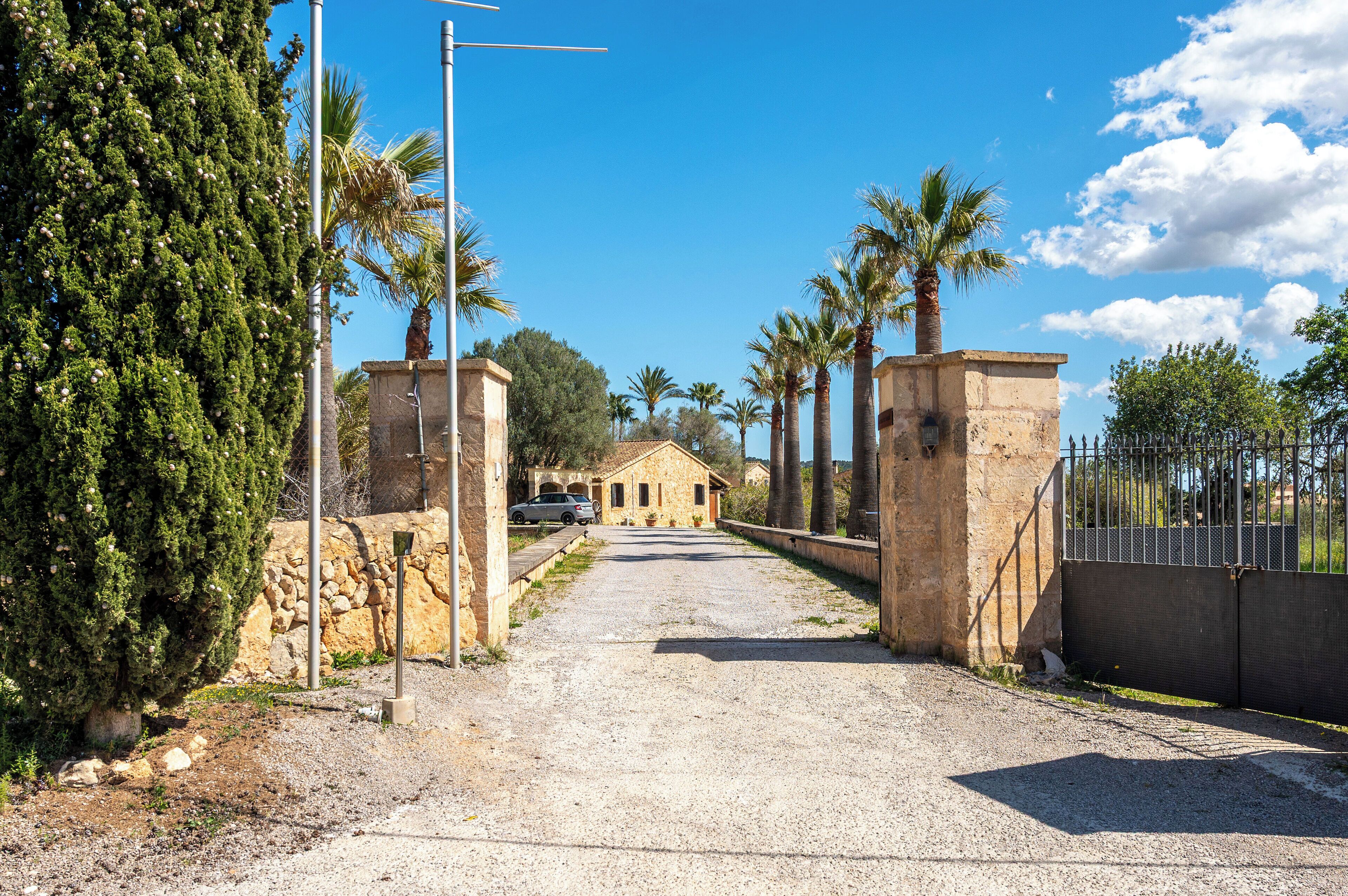 Photo - Finca Sol y Vida - Agroturismo Son Sampoli