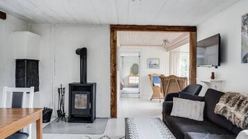 Tv, eldstad och dvd-spelare