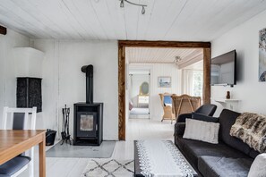 Fernseher, Kamin, DVD-Player