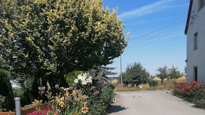 A paved street lined with flowering plants and a white building on the right.