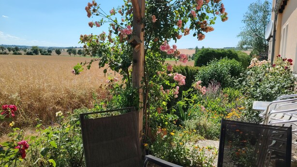 A covered patio with a table and chairs, surrounded by a garden with various plants and flowers.