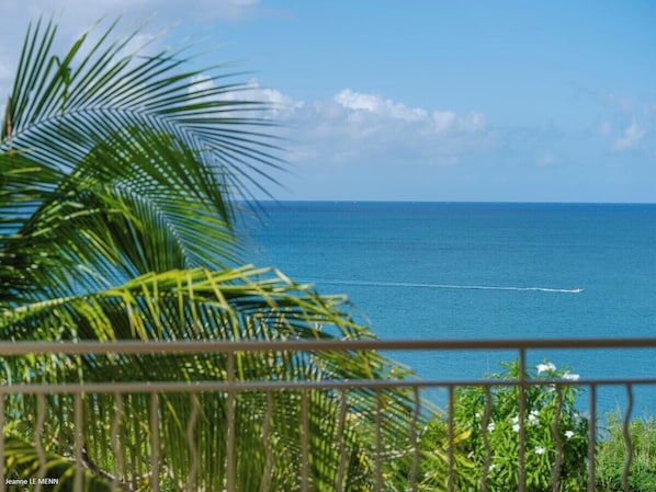 A view of the ocean from a balcony with a railing, palm trees, and a clear sky.