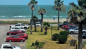 Un parking avec plusieurs voitures, des palmiers et une vue sur l’océan.