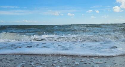 Cozy little beach front condo to enjoy, relax, celebrate and make memories.