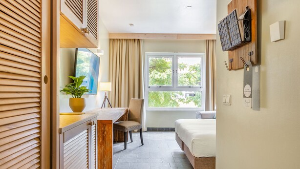 Habitación de hotel con cama, escritorio y silla, planta en maceta, ventana con cortinas y televisor montado.