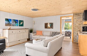 Smart TV, fireplace, DVD player, books