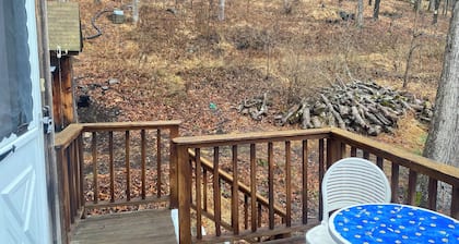 Cozy 1-bedroom apartment with AC, WiFi in charming Port Jervis