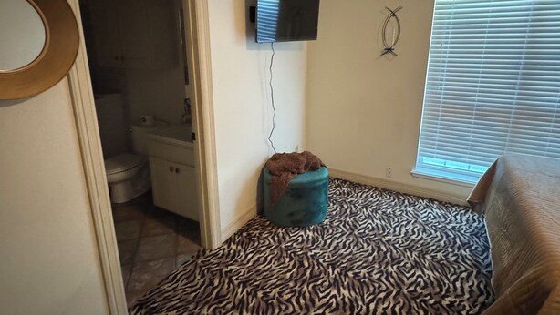 A bedroom with a zebra-patterned carpet, a television mounted on the wall, a small ottoman, and a window with blinds.