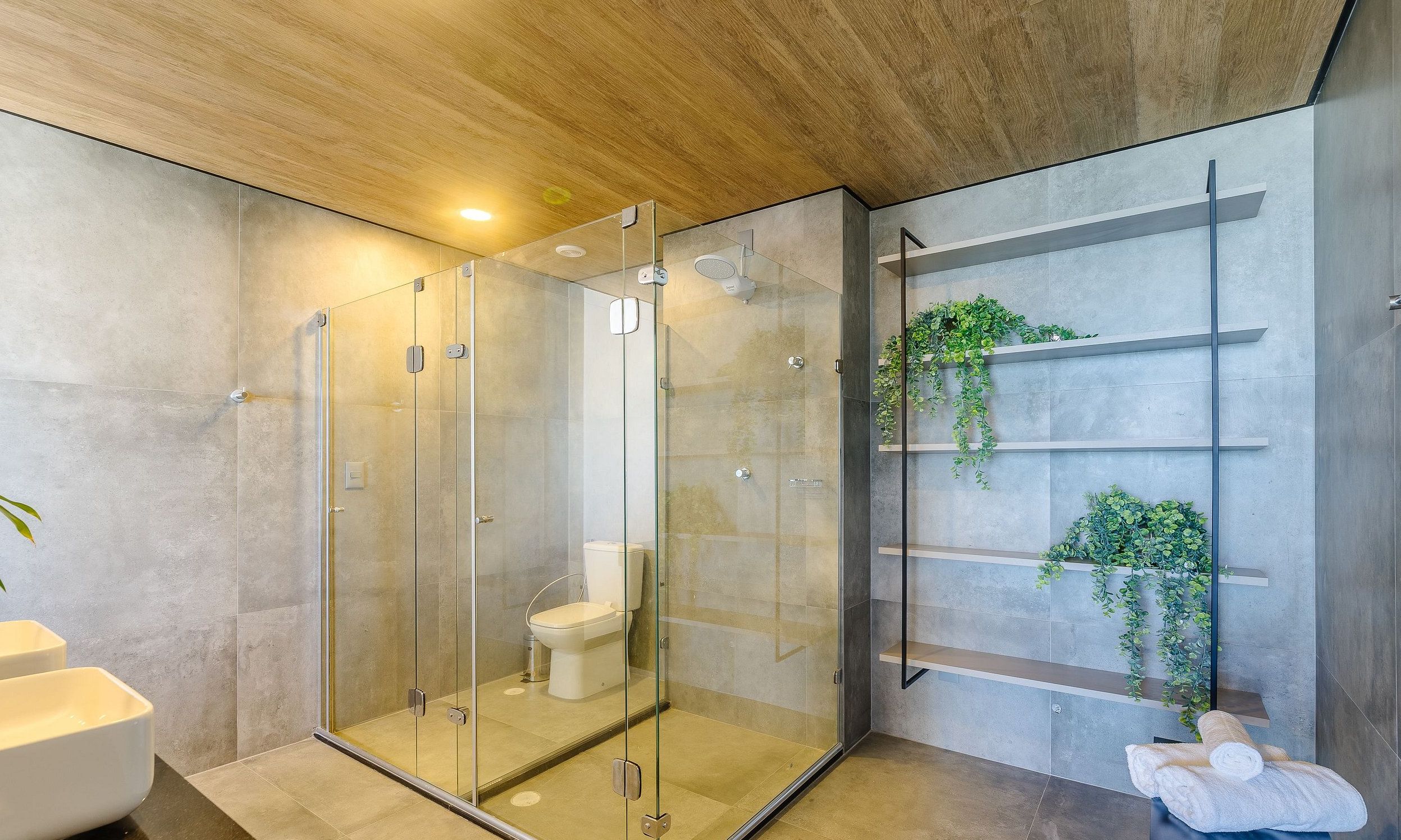 A modern bathroom with a glass-enclosed shower, a toilet, and a shelf with plants.
