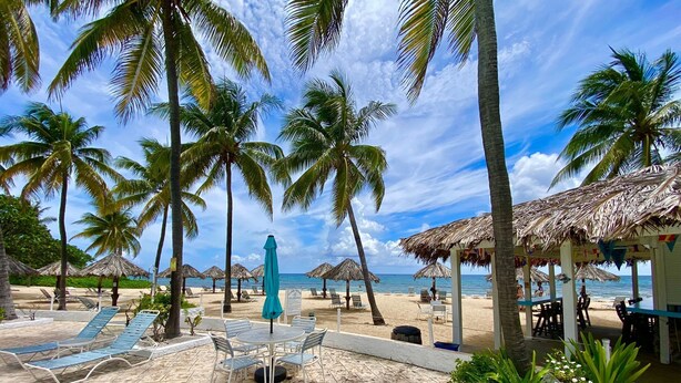 A beachside area with lounge chairs, a thatched-roof structure, and palm trees. - Lovely Gentle Winds 2-bedroom condo! (St. Croix)