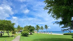 A pathway leading to a beach area with palm trees and a clear sky. - Lovely Gentle Winds 2-bedroom condo! (St. Croix)