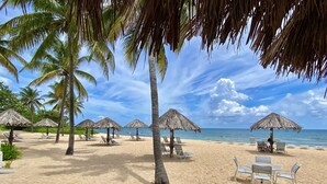 A beach with thatched umbrellas and lounge chairs, palm trees, and a clear view of the ocean. - Lovely Gentle Winds 2-bedroom condo! (St. Croix)