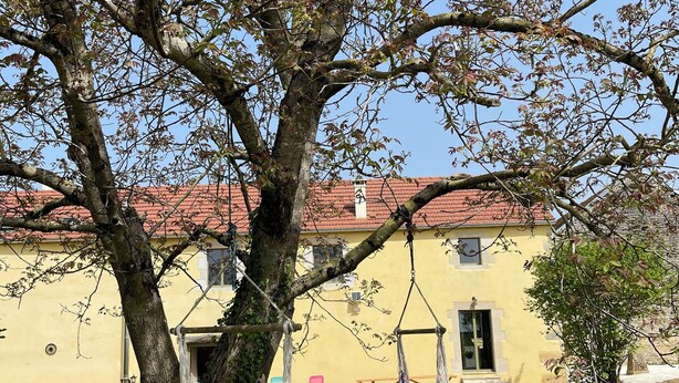 Eksteriør