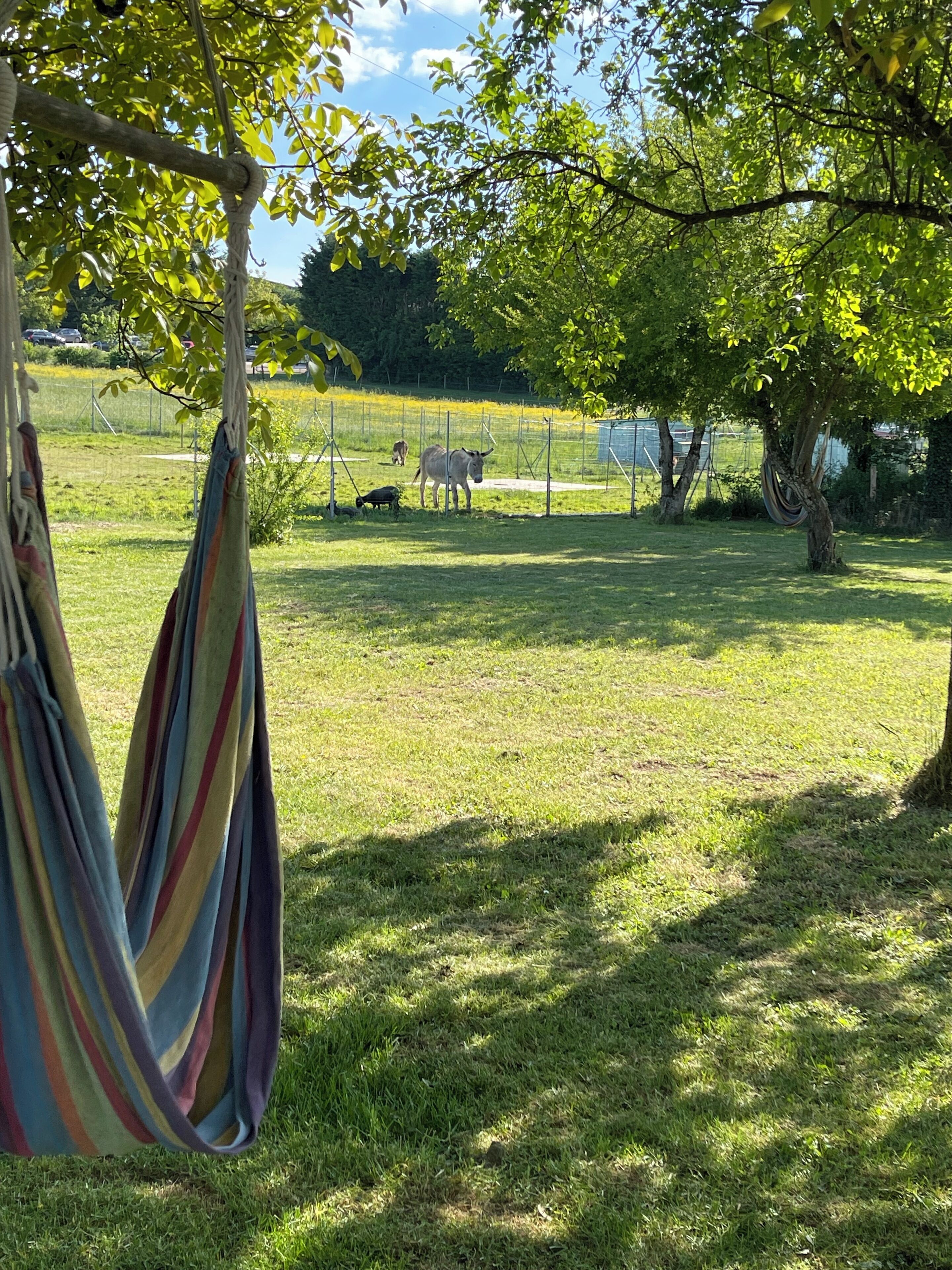 Eine grüne Außenanlage mit einer Hängematte, Bäumen und einem eingezäunten Feld mit Tieren.