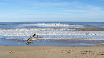 Pesca