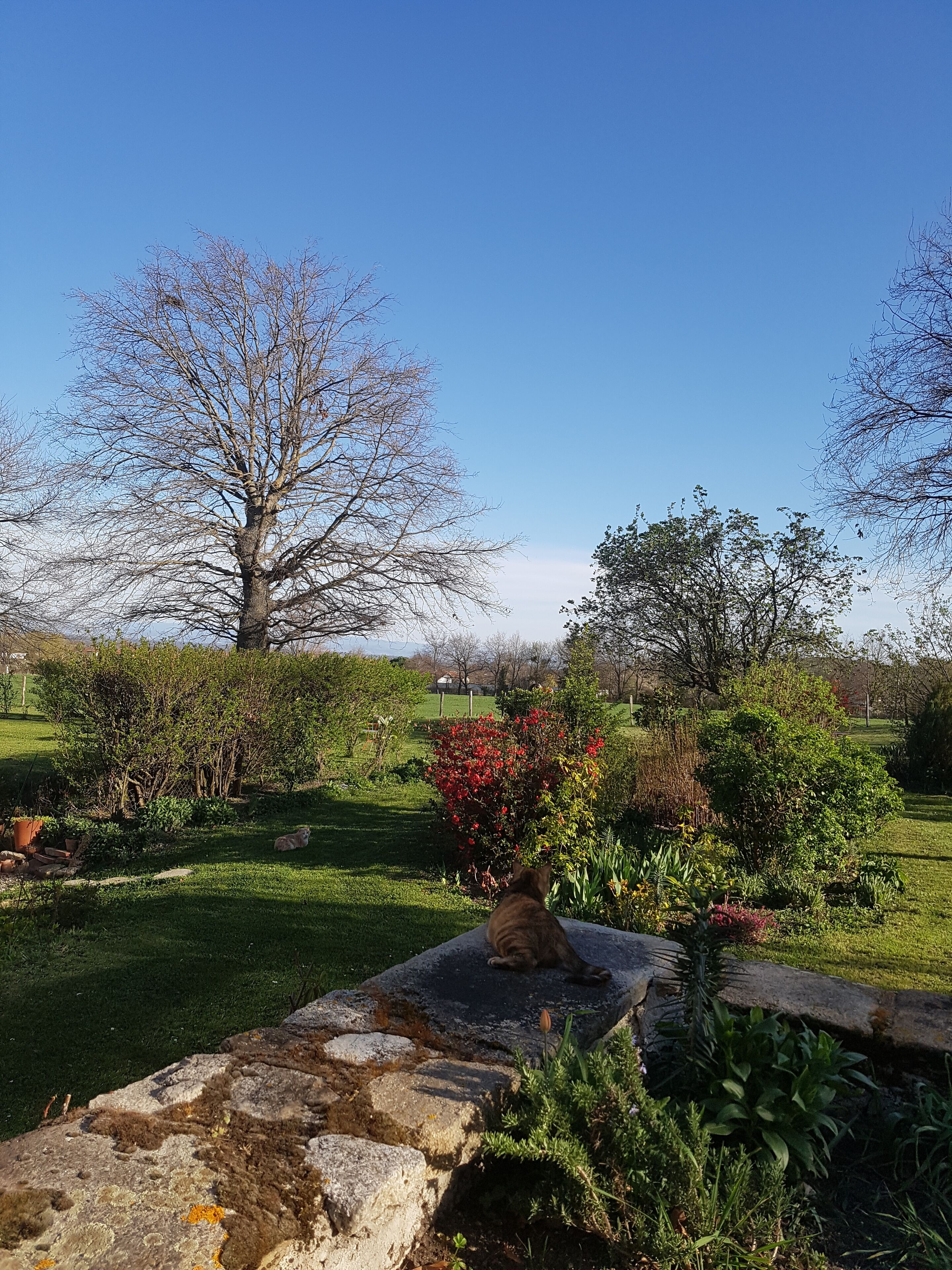 Áreas de la propiedad