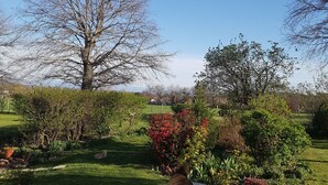 Un jardín con un banco de piedra, diversas plantas y un árbol grande.