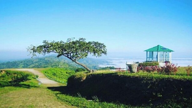 A pathway leading to a green-roofed structure with a tree and flowers nearby. - Hotel Aranna Residential Bandarban (Bandarban)