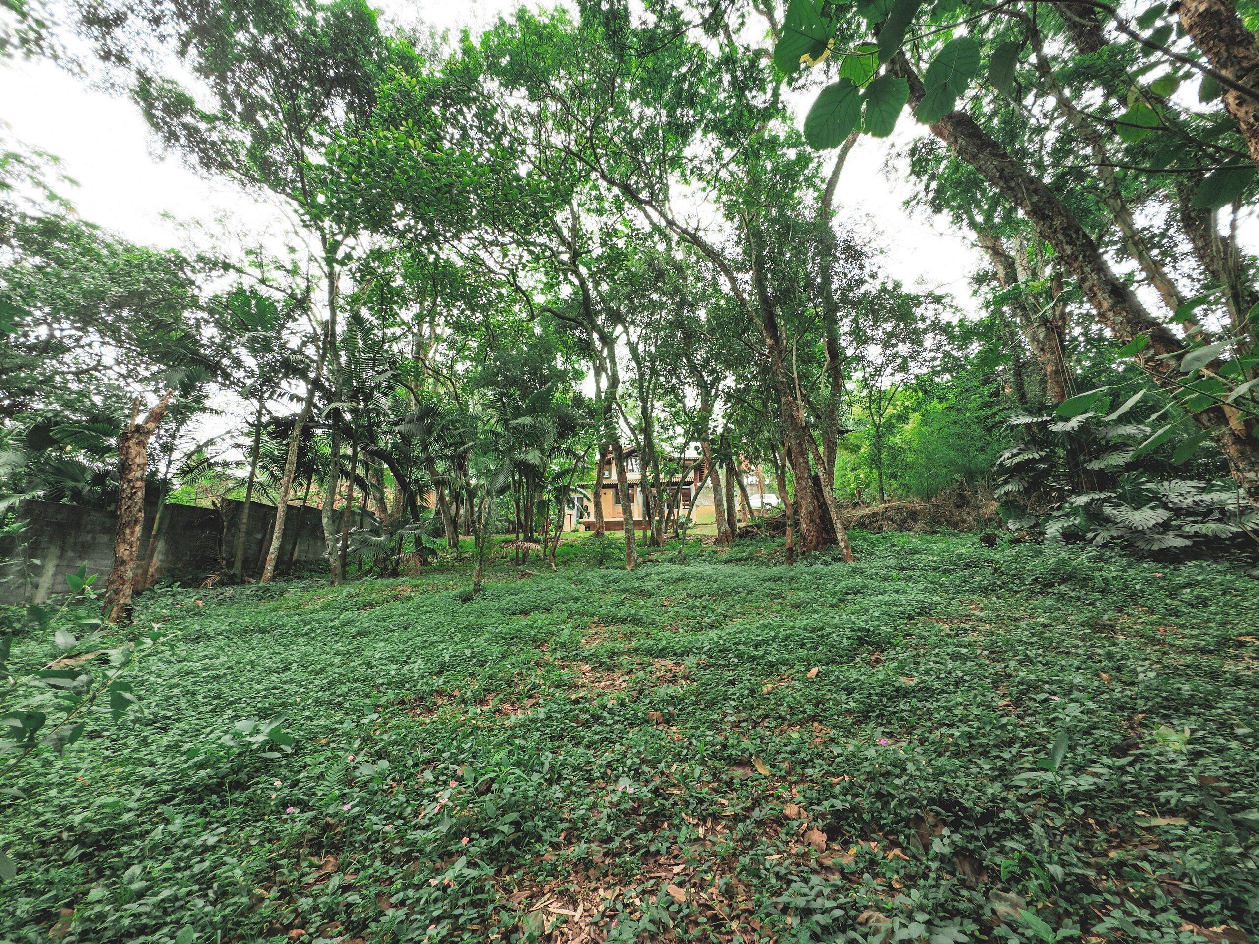 Chalet | Property grounds