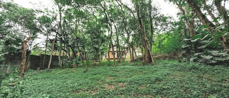 Chalet | Property grounds