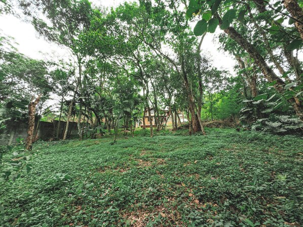 Chalet | Property grounds