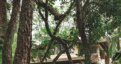 Chalé Encantador na Granja Viana