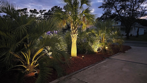 Un jardin aménagé avec des palmiers et un sentier menant à une maison.