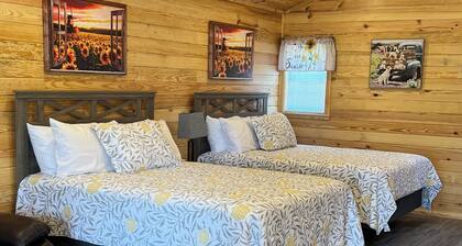 Cabin Unit 6 of 6 with AC and WiFi in lovely Paige