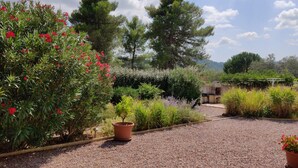 Ein Garten mit Kieswegen, unterschiedlichen Pflanzen und einer Grillgelegenheit.