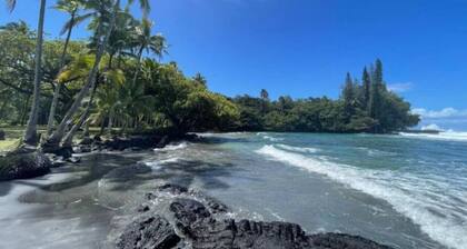 Peaceful Petfriendly Paradise Home | with A/C