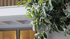 A modern building entrance with glass doors, a security keypad, and a potted plant.