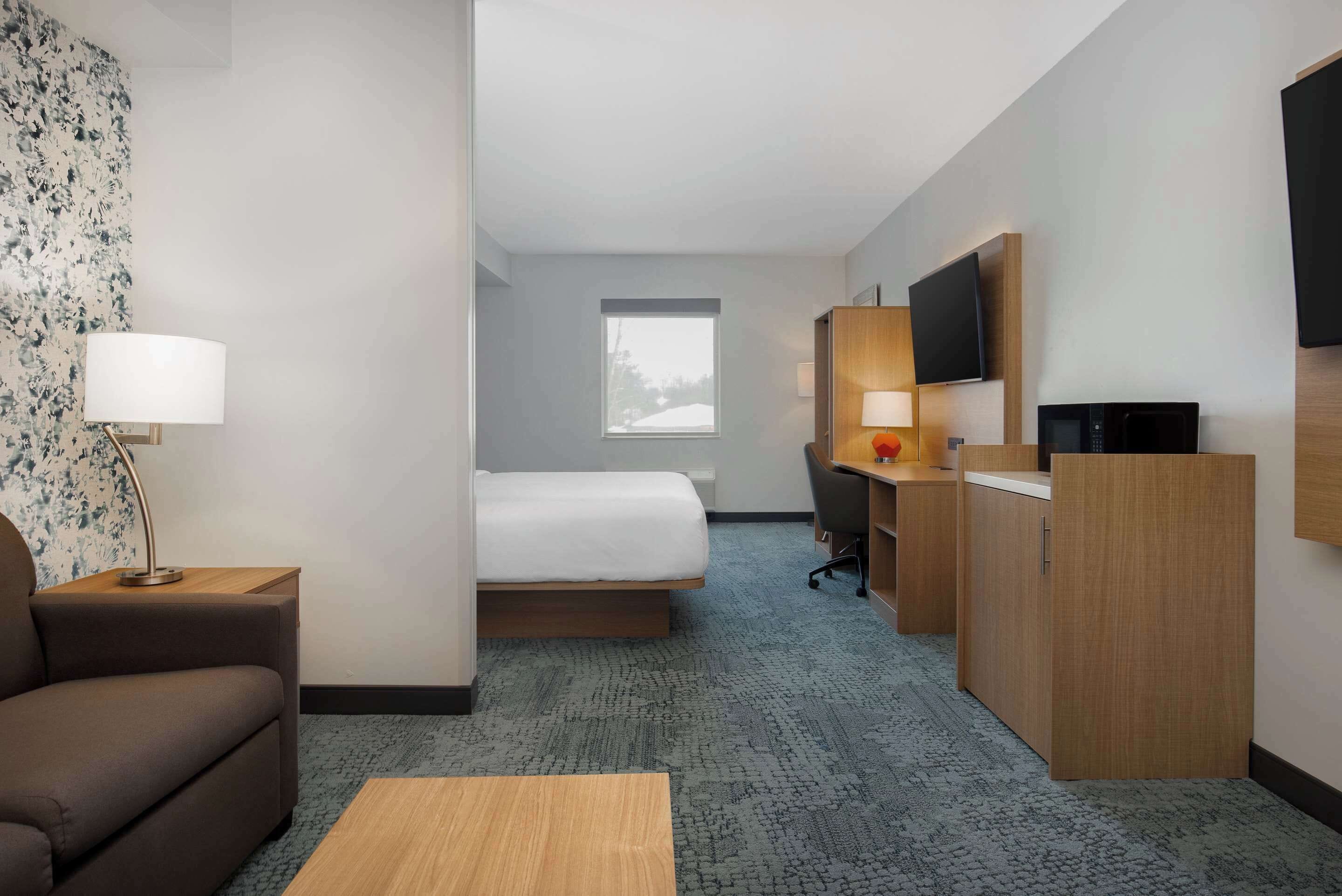 Una habitación de hotel con una cama, un escritorio, un televisor, una lámpara y un sofá.