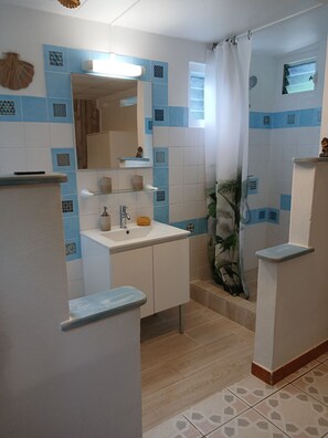 Shower, hair dryer, soap, toilet paper
