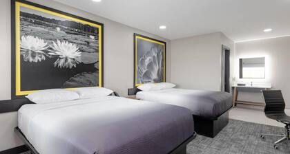 Super 8 BY Wyndham Lubbock Airport