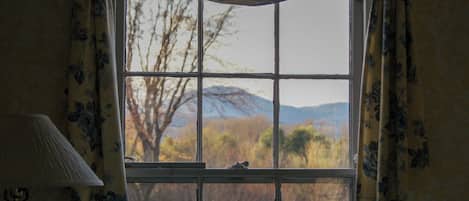 Room, 1 Queen Bed, Mountain View | 2 bedrooms, blackout curtains, iron/ironing board, free WiFi