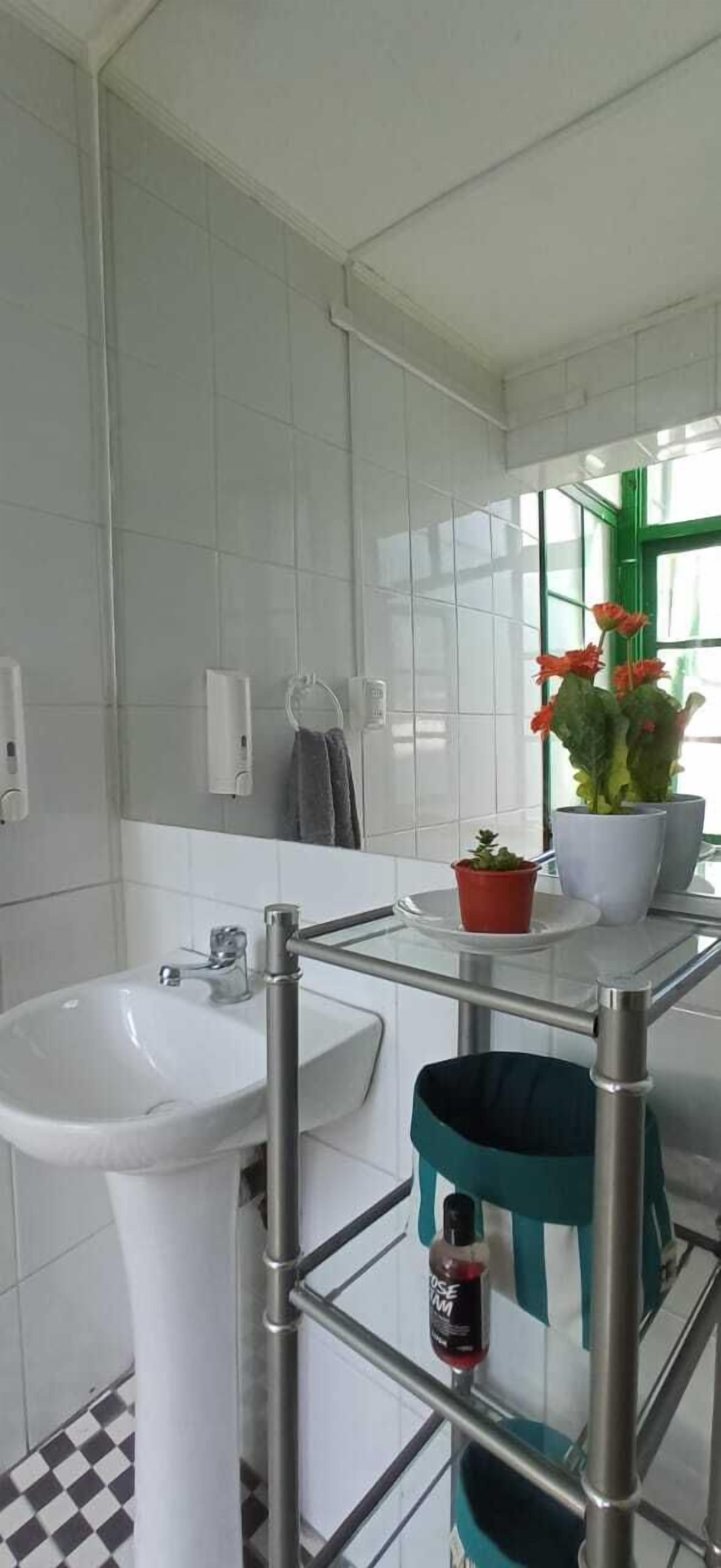 A bathroom with a white sink, a mirror, a towel rack, and a potted plant.