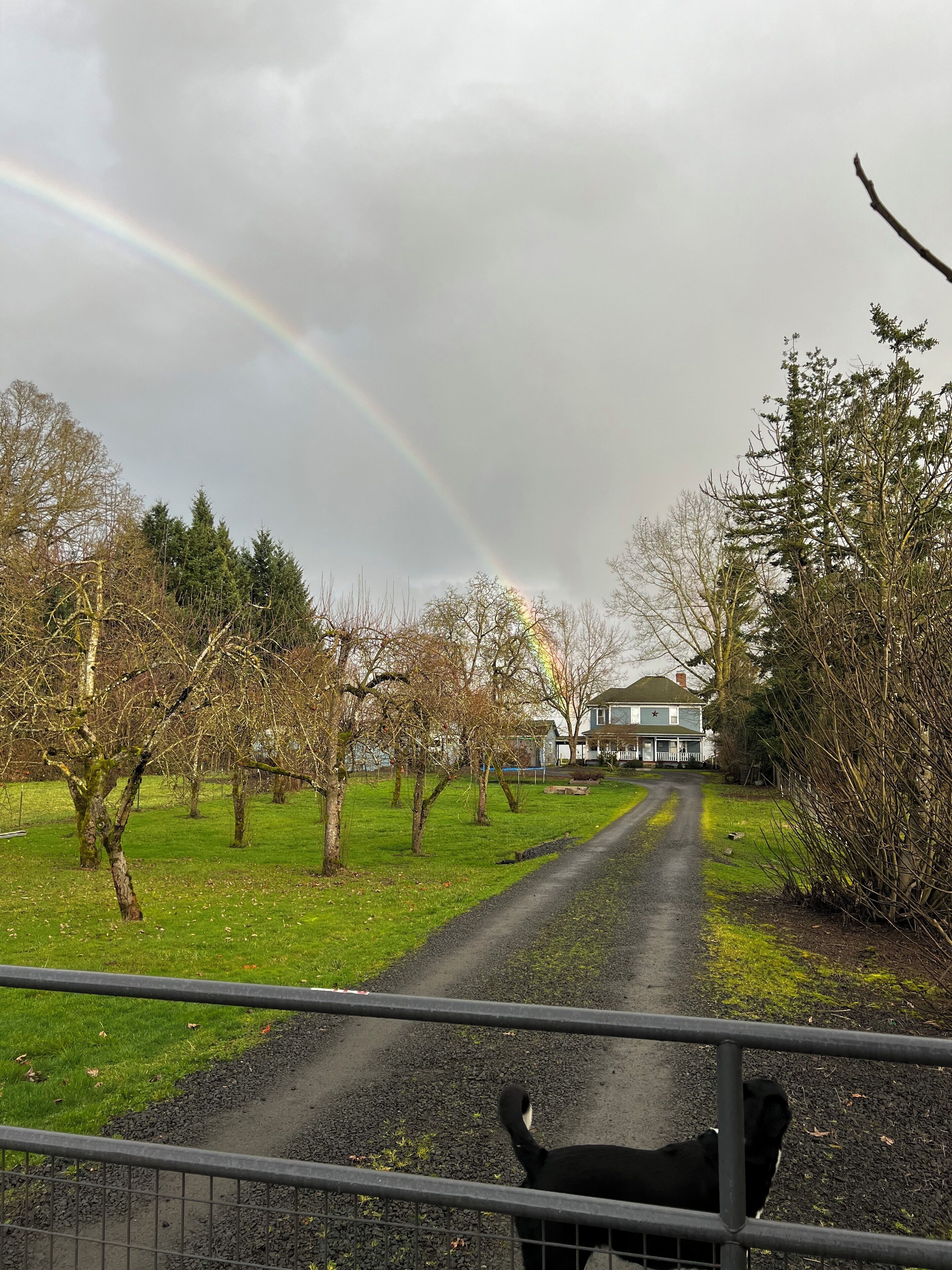 Área da propriedade