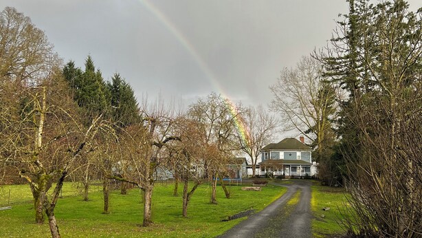 Ländliche Landschaft mit einer unbefestigten Straße, die zu einem Haus führt, umgeben von Bäumen und einem Regenbogen am Himmel.