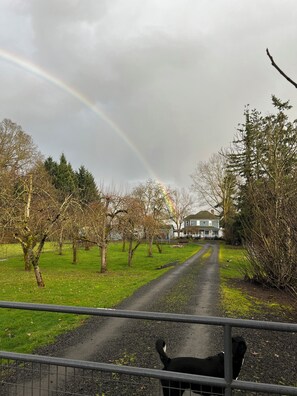 Overnattingsstedets uteområder