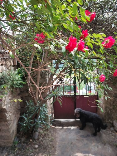Maison en pierres rénovée, calme, terrasse, vue sur les montagnes, 8 pers.
