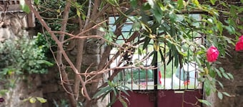 Old stone house, modern renovated, quiet, terrace, mountains, space for 8